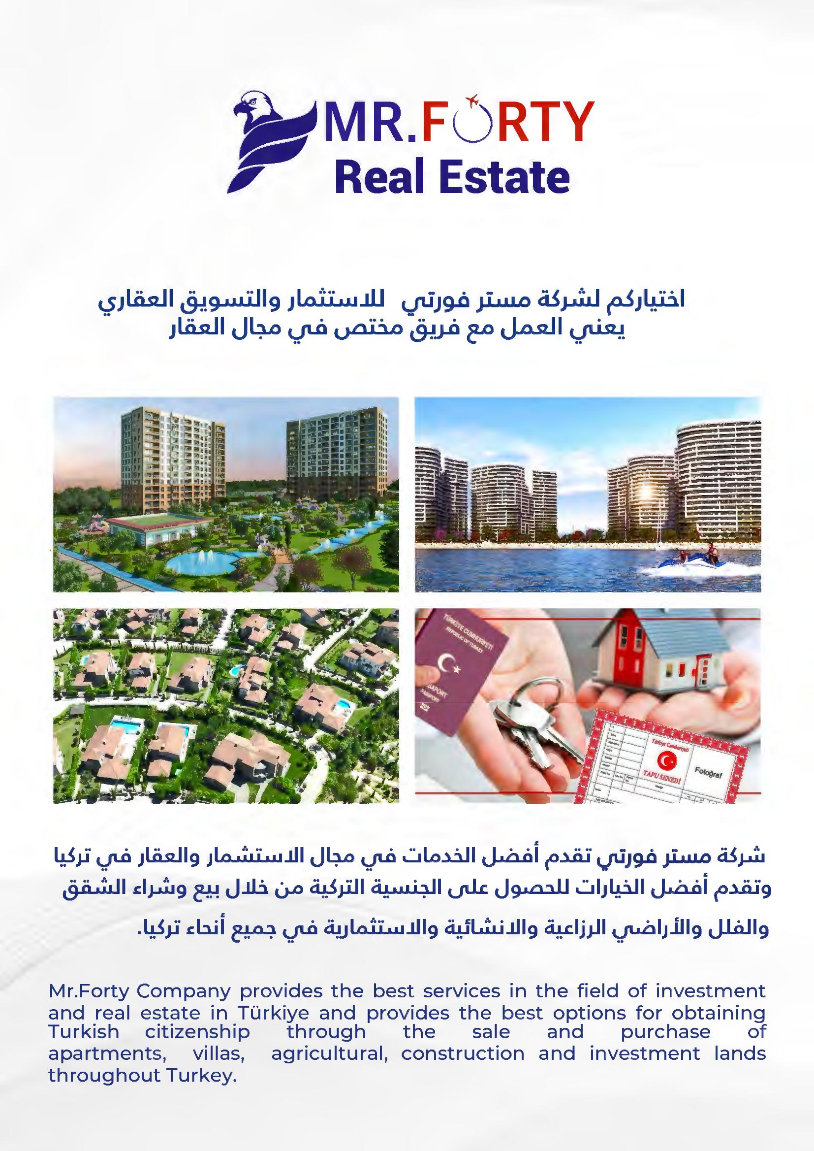 Investment and Real Estate